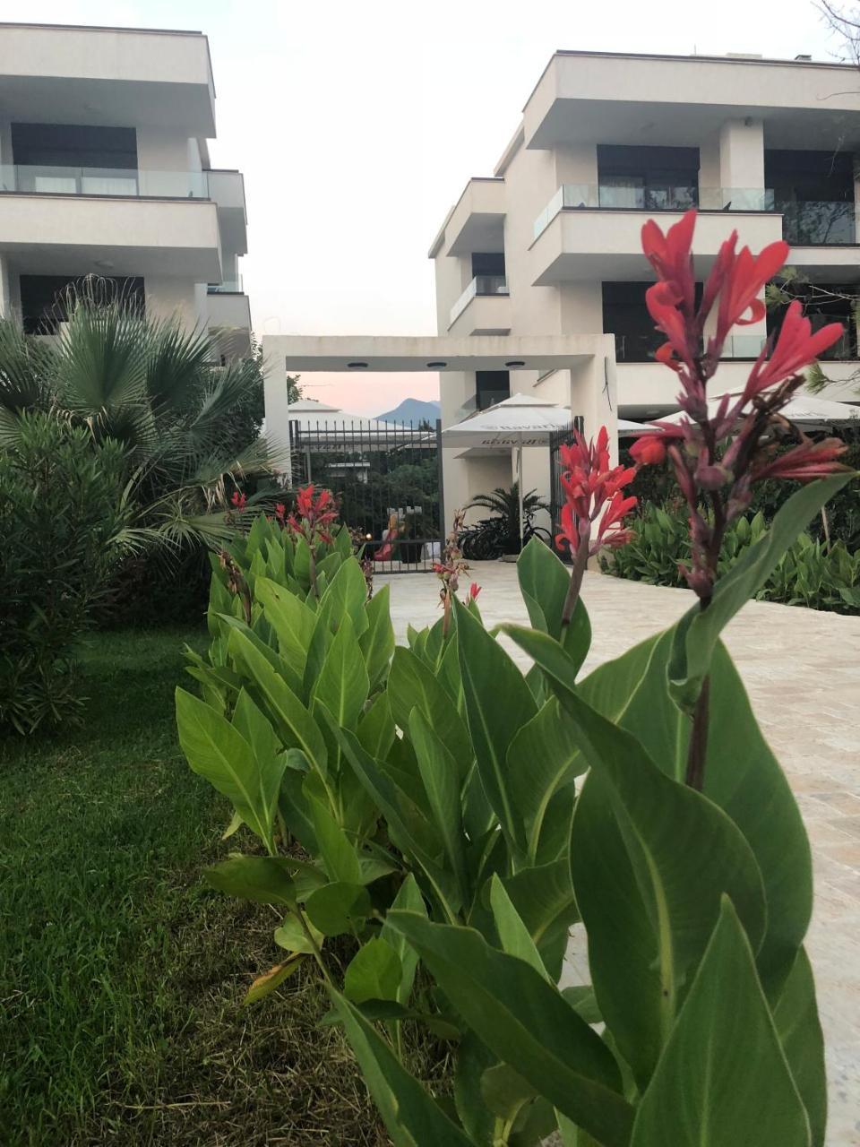 Apartments Kuce Lekovica Beach & Snack Bar- Bistro Extérieur photo
