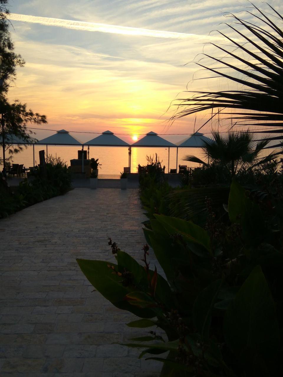 Apartments Kuce Lekovica Beach & Snack Bar- Bistro Extérieur photo